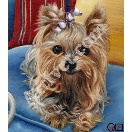 Наличен Диамантен гоблен ЙОРКИ - ЛОРИ: Размер и Вид - Квадратни диаманти 25х25